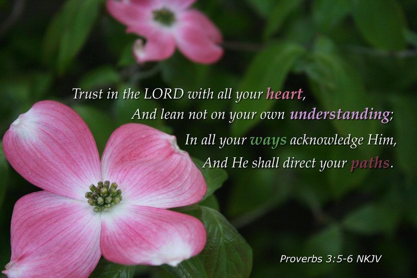 proverbs-3